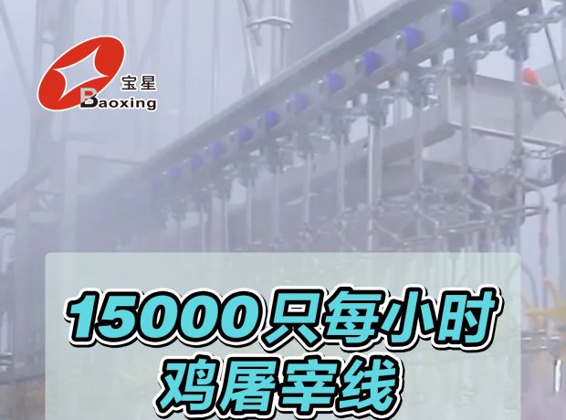 时宰 15000 羽全自动家禽屠宰线，高效投产！